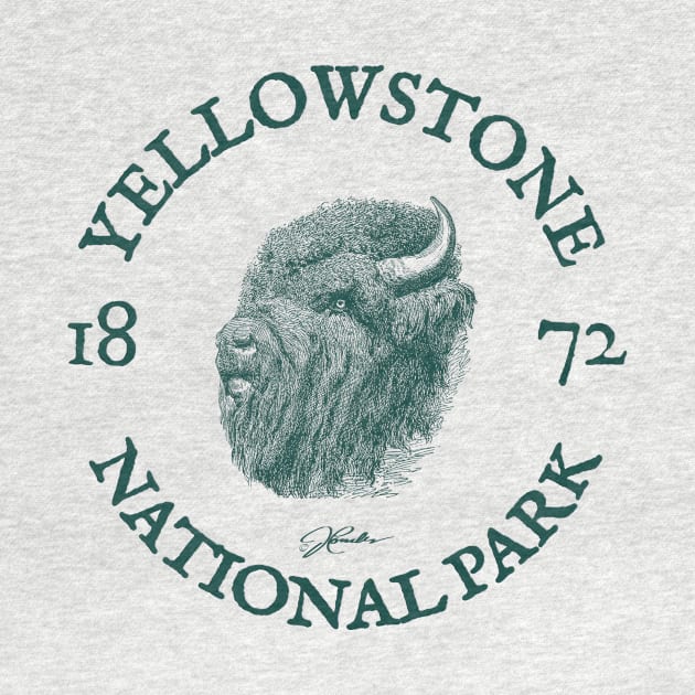 Yellowstone National Park, Tough Old Bison by jcombs